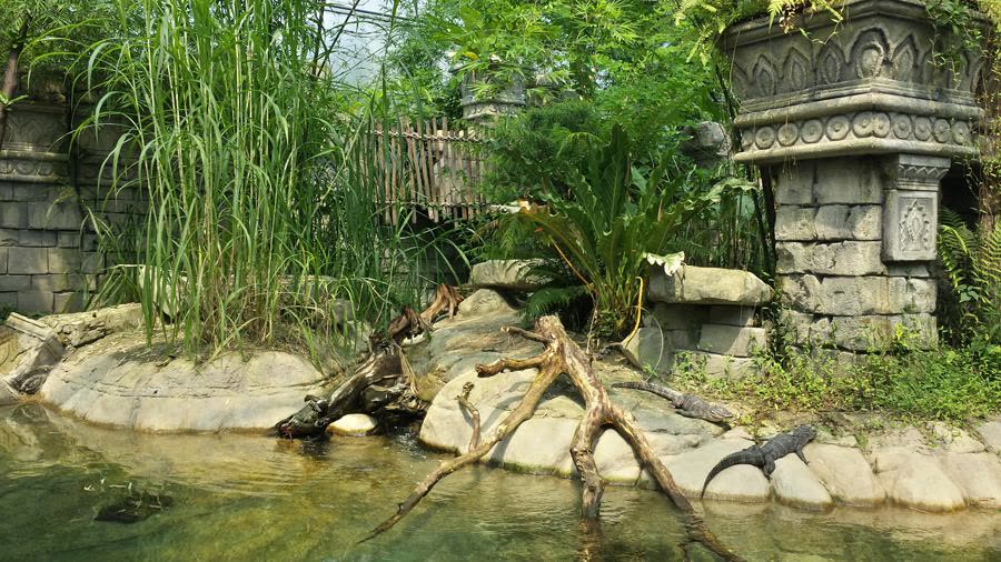 Themed rock and façade elements in the Jungola area of Wildlands Zoo