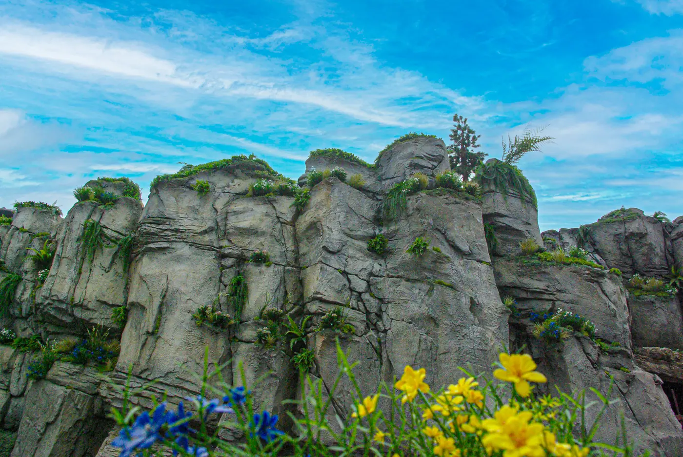 Austrian Themed Area (full refurbishment) — main photo