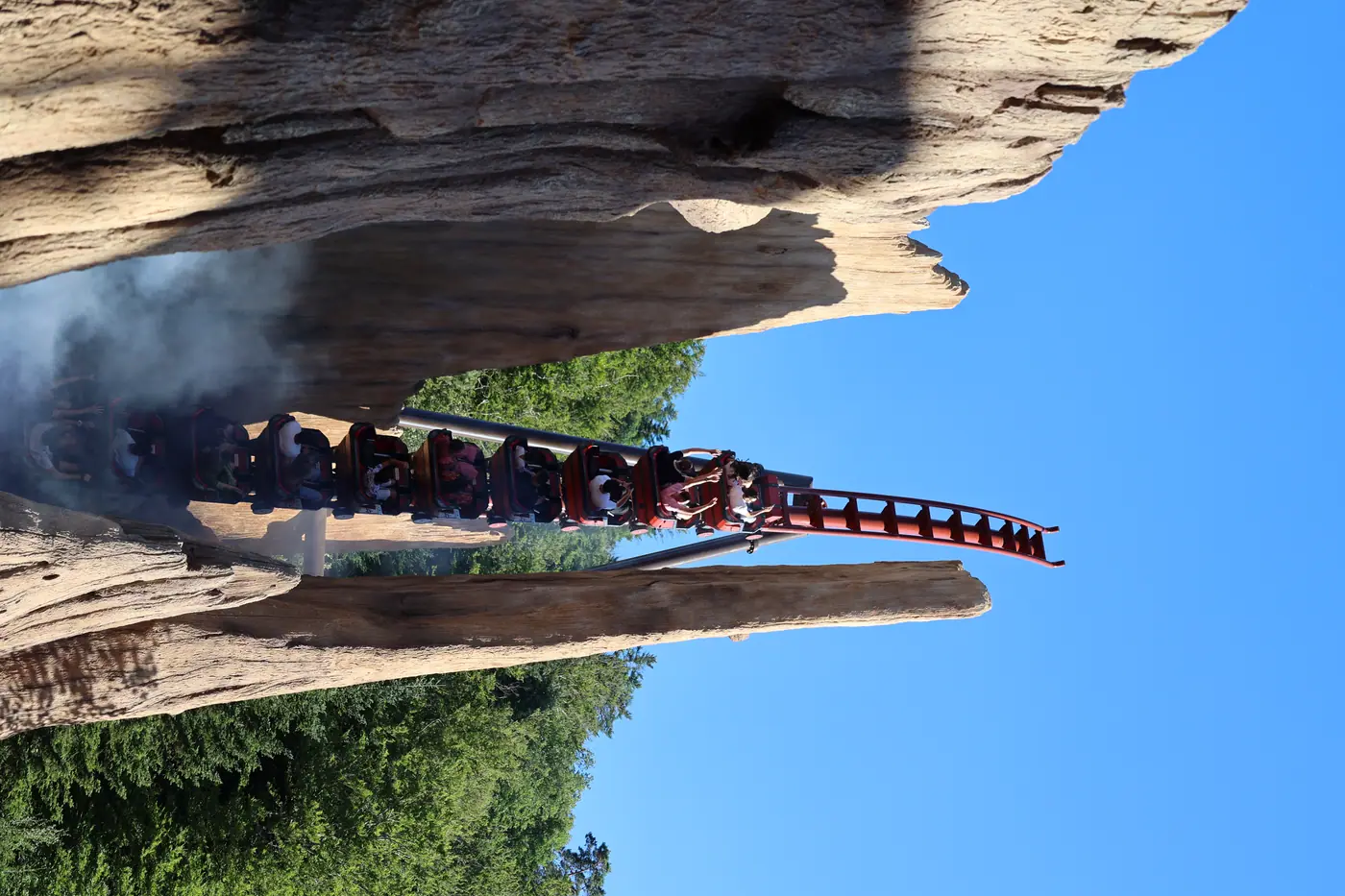 FIRELINE REDWOOD — photo 3