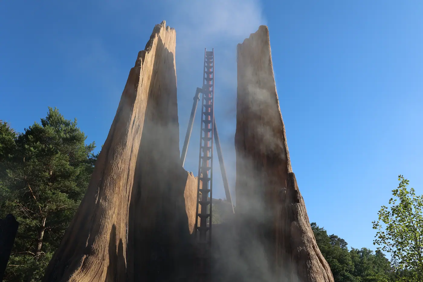 FIRELINE REDWOOD — photo 7
