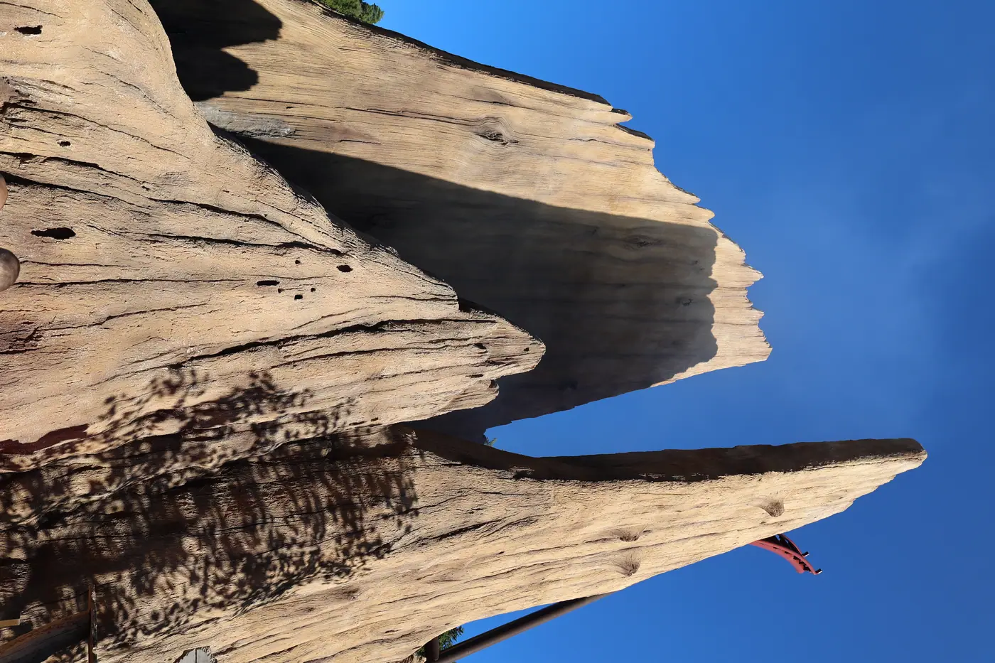 FIRELINE REDWOOD — photo 8
