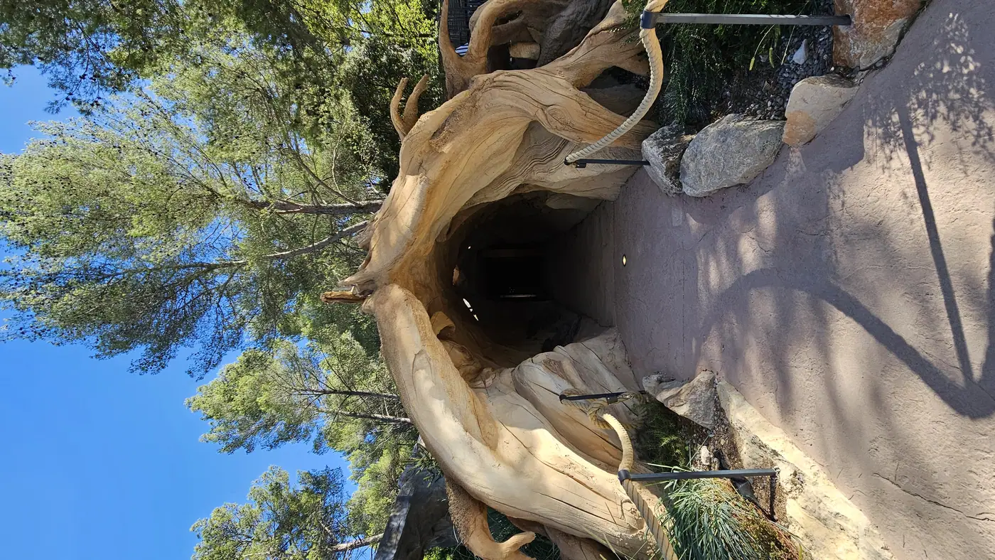 LA GRANDE OURSE — photo 4