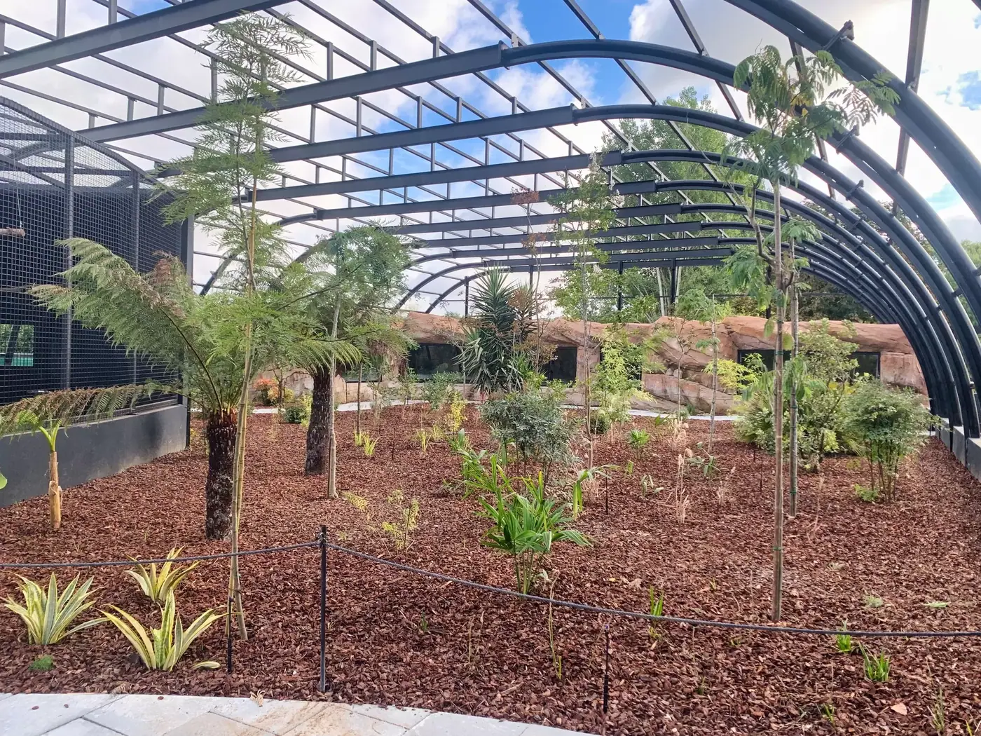 MUNDO TROPICAL — photo 3